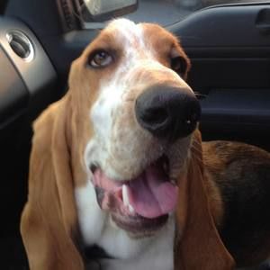 Meet your Posher, Keith